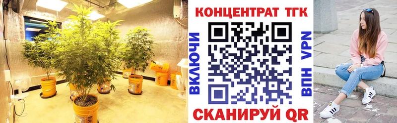 ТГК вейп с тгк  OMG tor  Елизово  хочу  