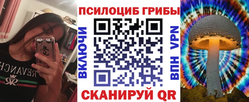 где можно купить Елизово Псилоцибиновые грибы GOLDEN TEACHER